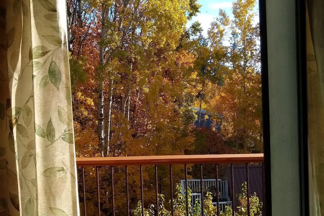 Photo of Patio Balcony in Bigfork