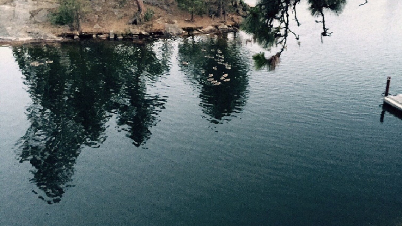 Photo of Outdoor in Post Falls