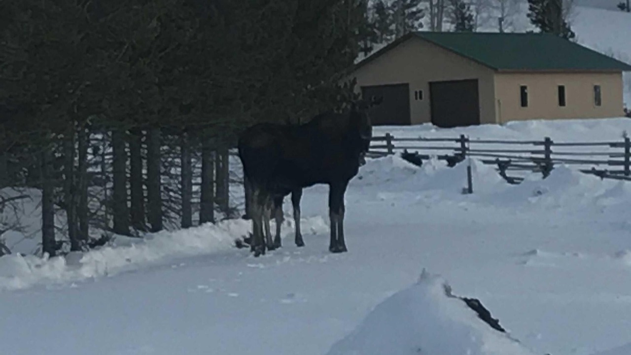 Photo of Others in Dubois