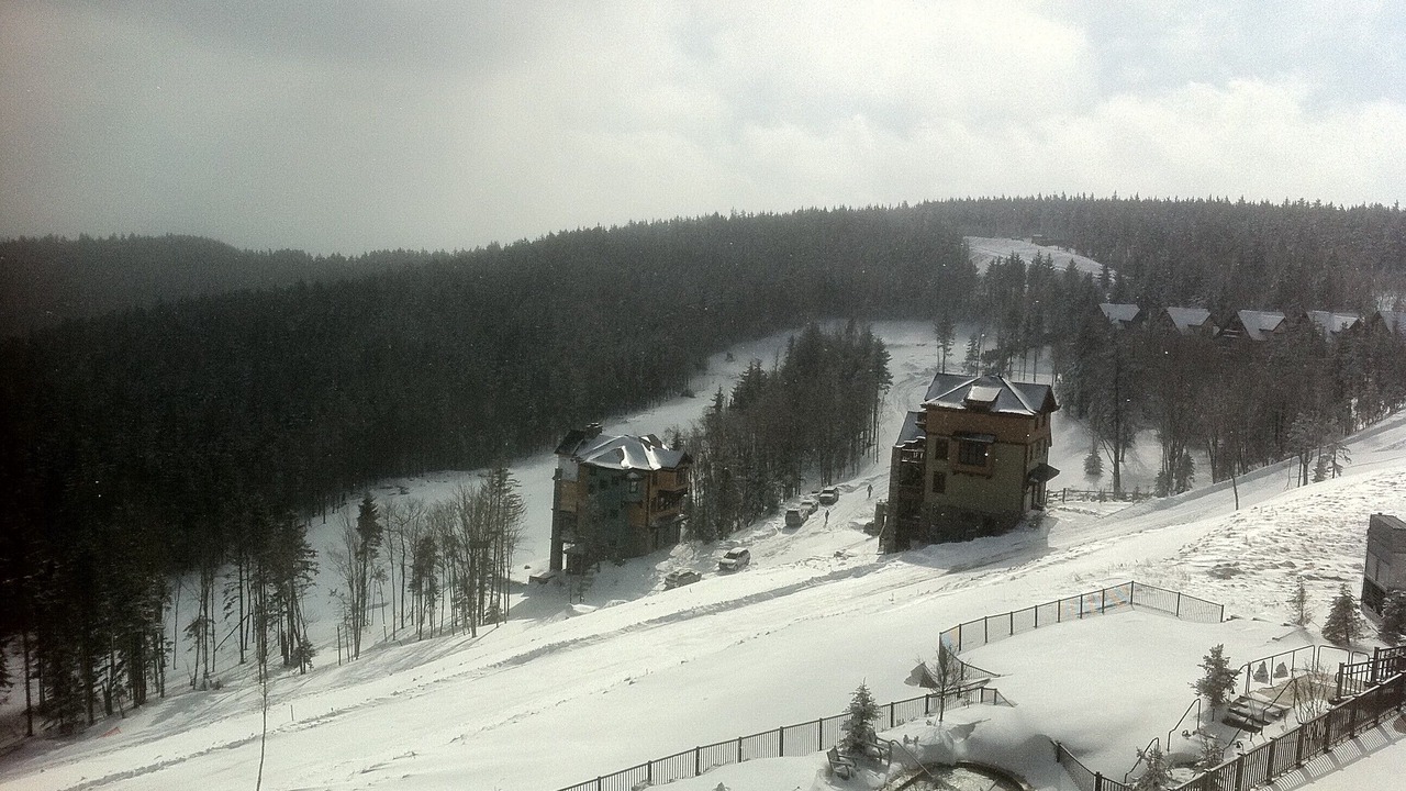 Photo of Others in Snowshoe
