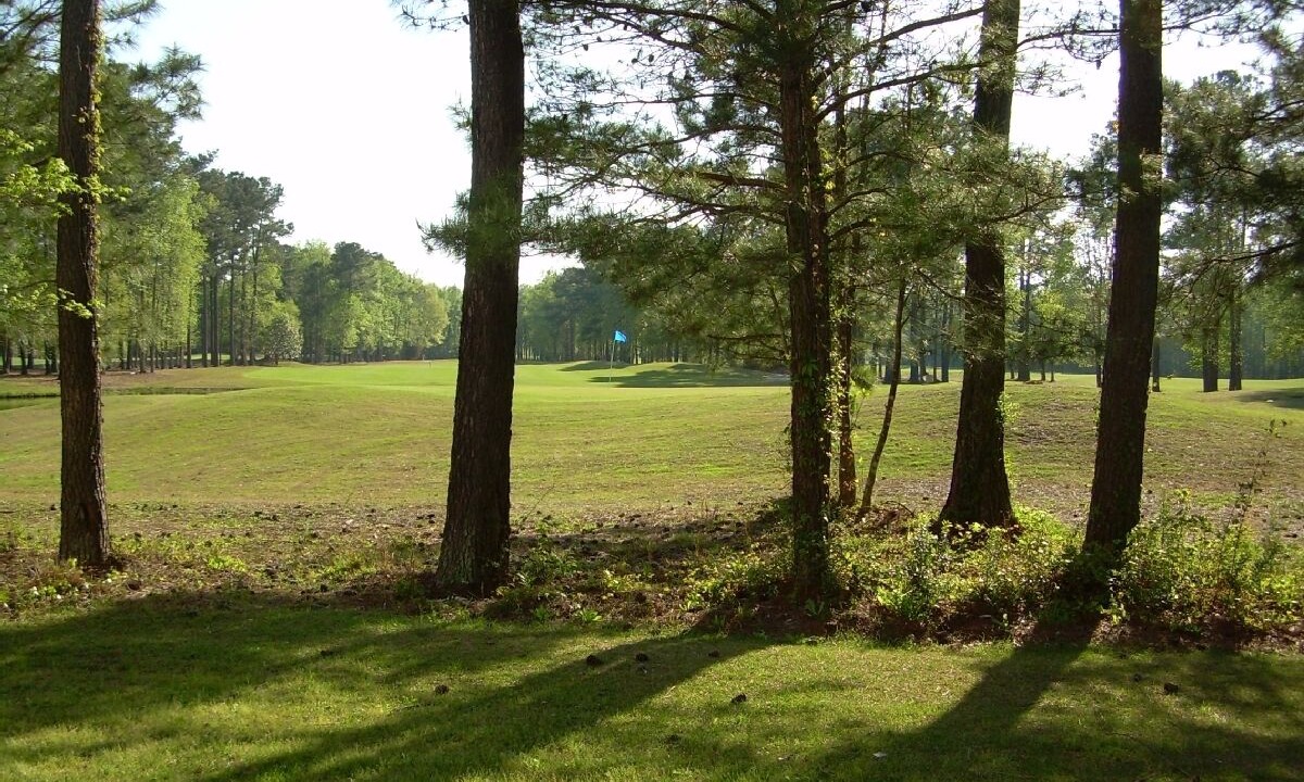 Photo of Others in Carolina Forest