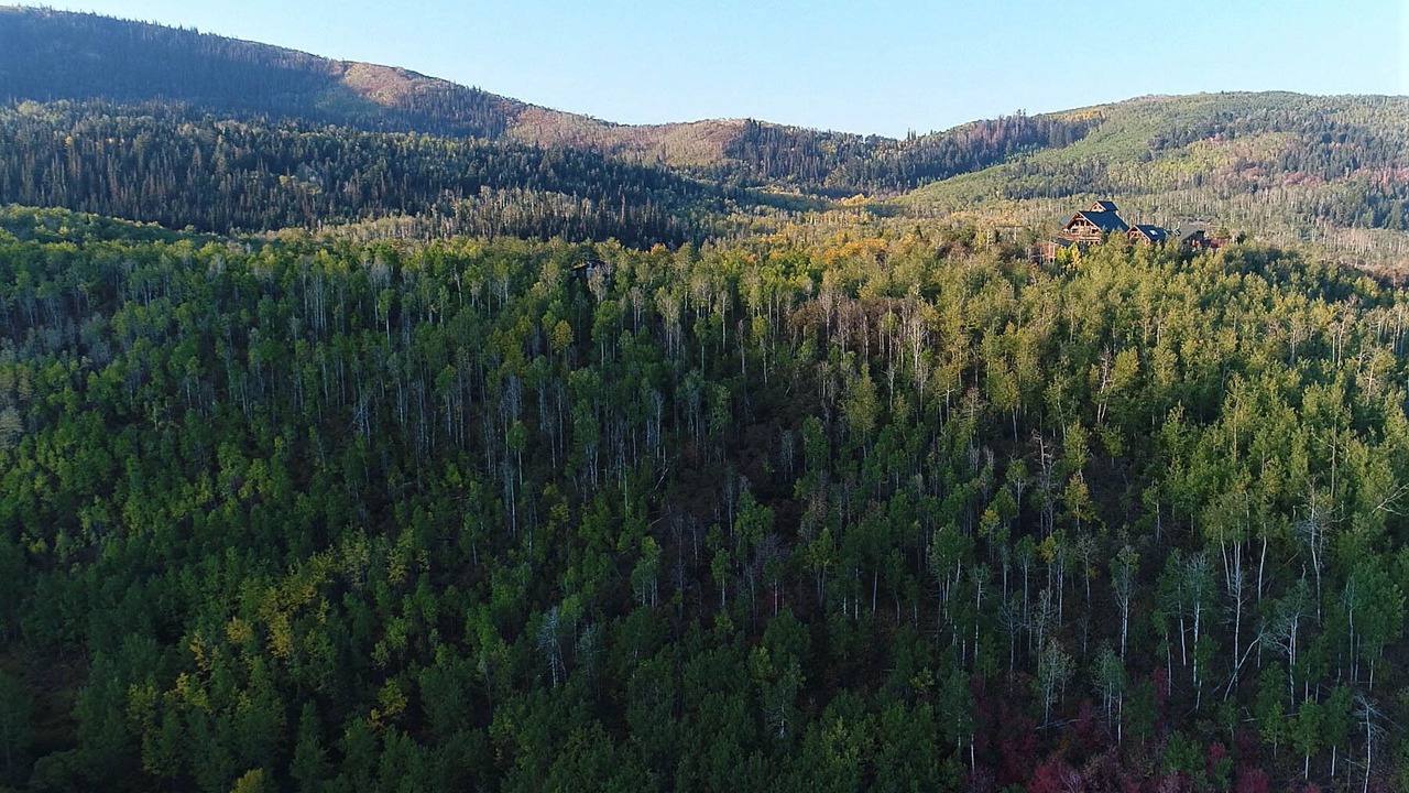 Photo of Outdoor in Timber Lakes
