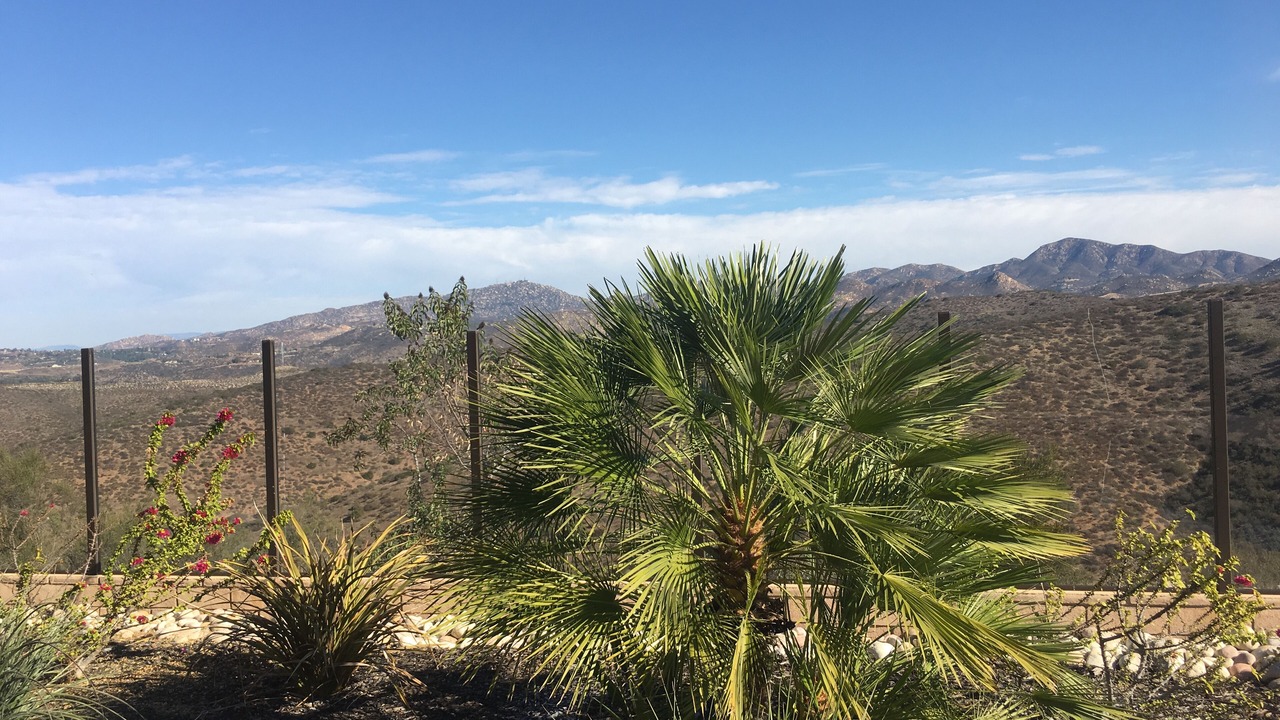 Photo of Outdoor in San Diego