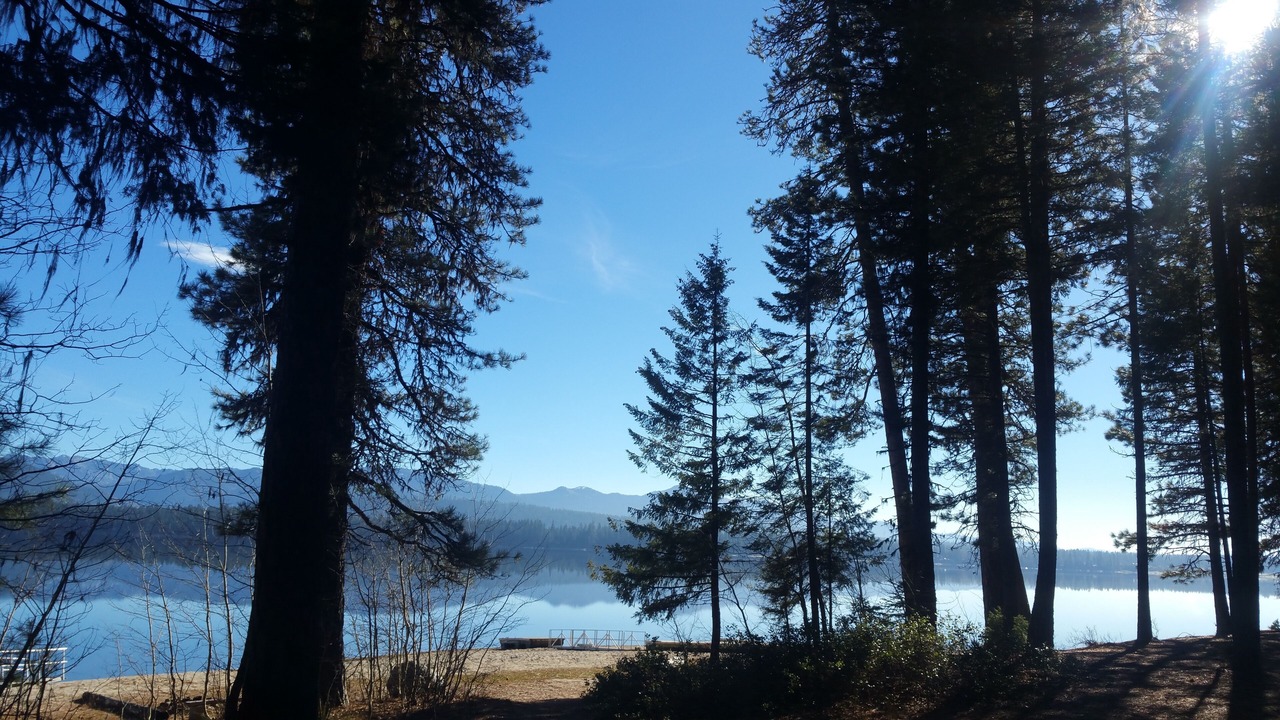 Photo of Others in McCall