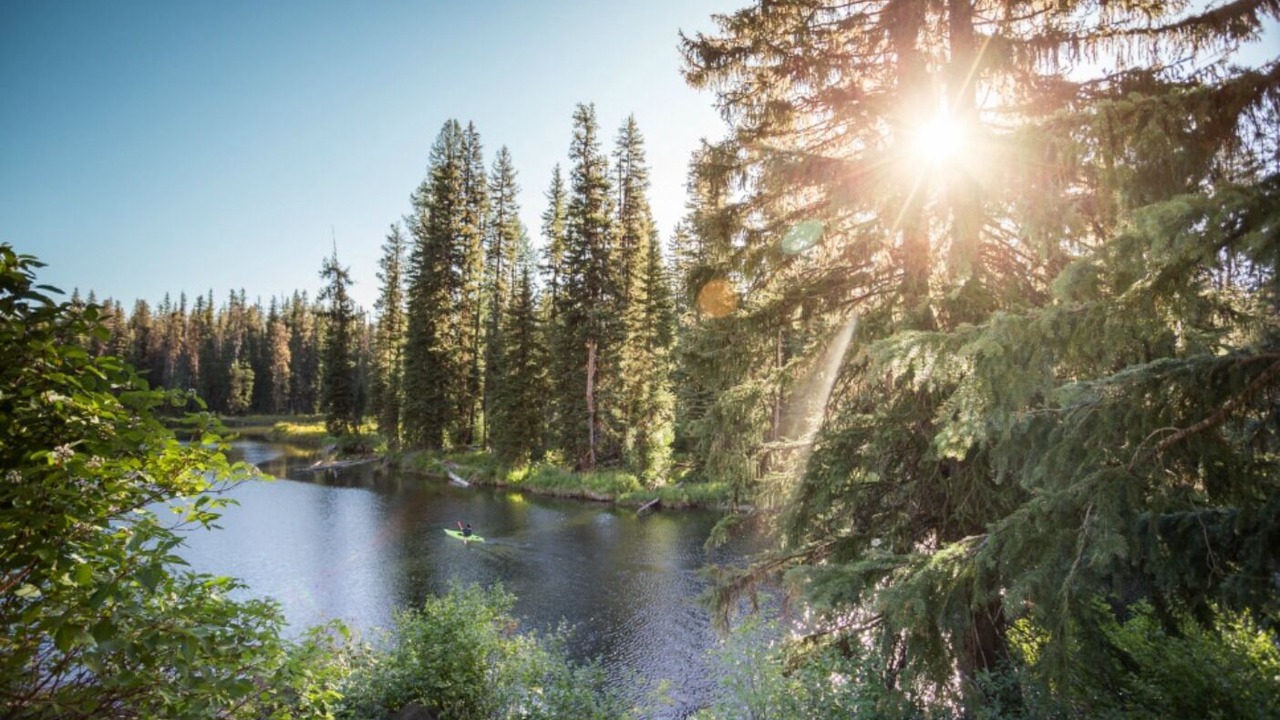 Photo of Others in McCall