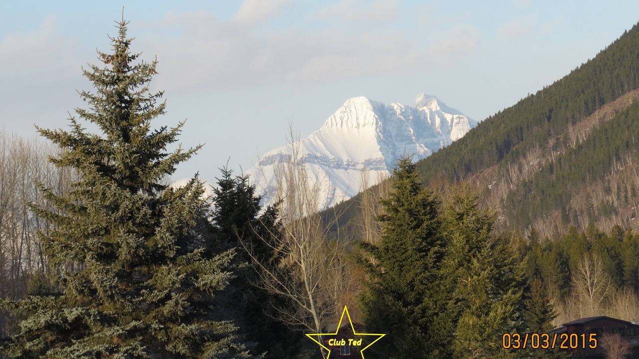 Photo of Others in West Glacier