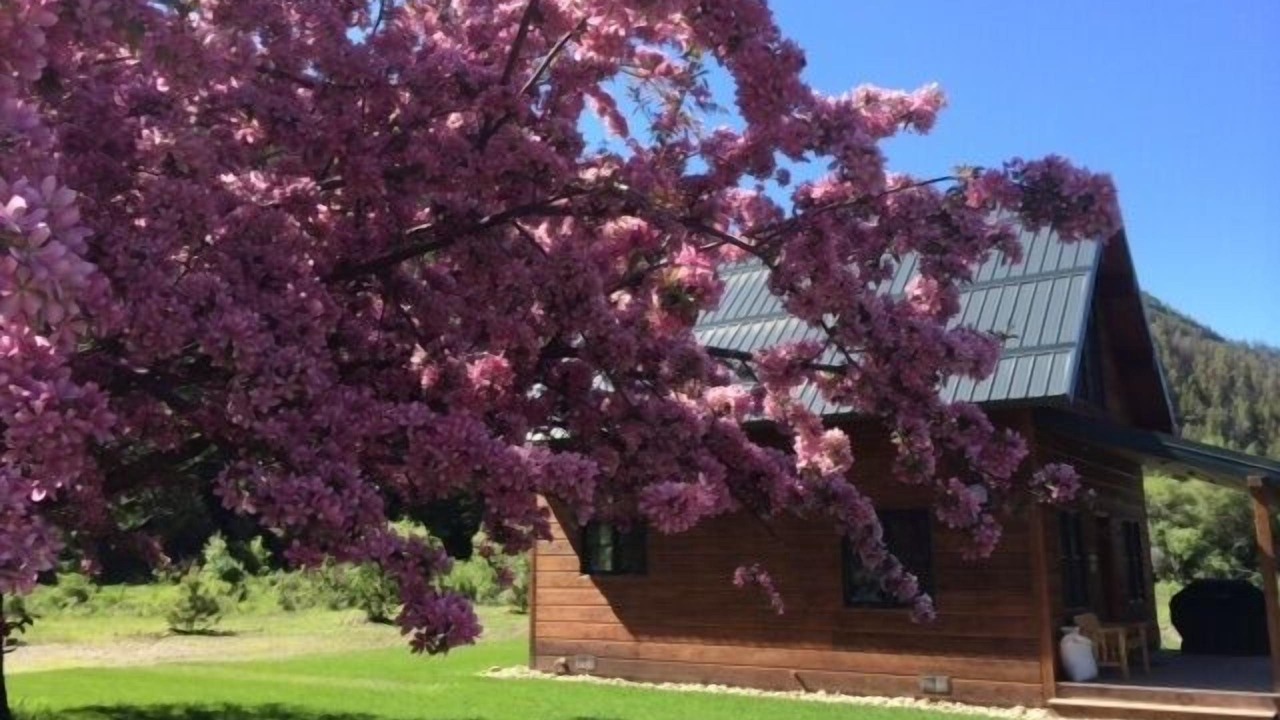 Photo of Outdoor in Philipsburg