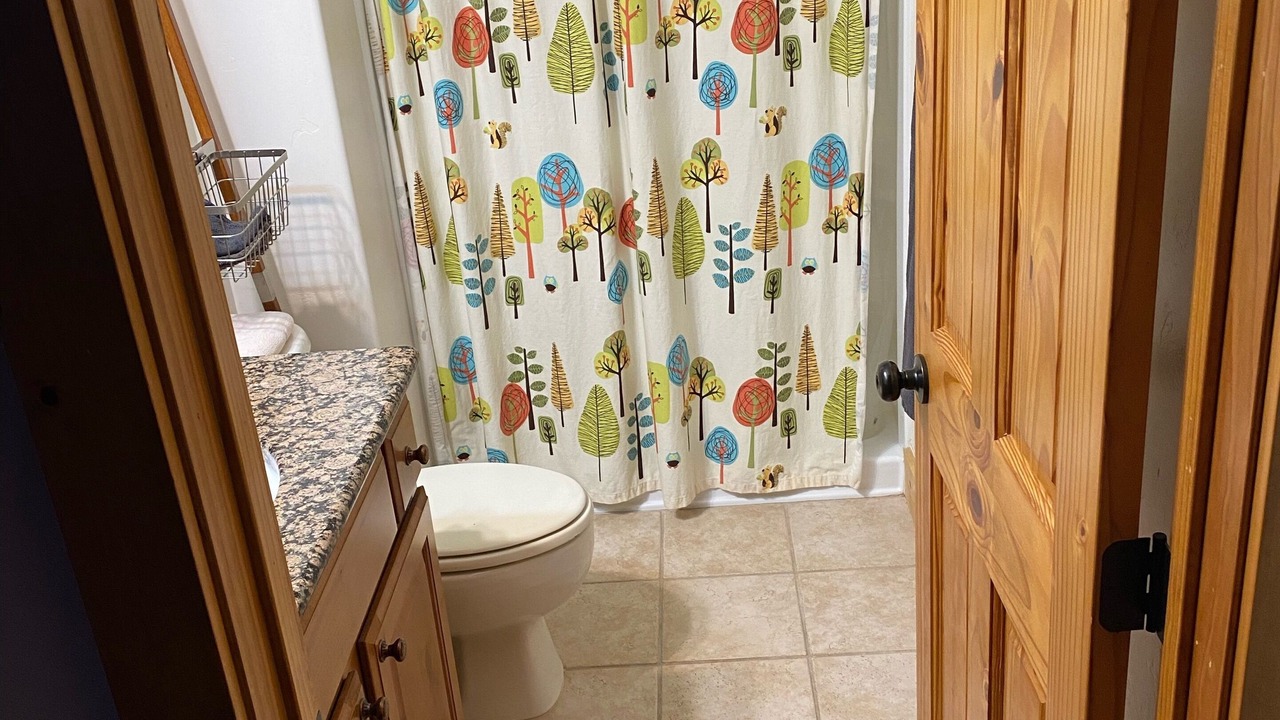 Photo of Bathroom in Driggs