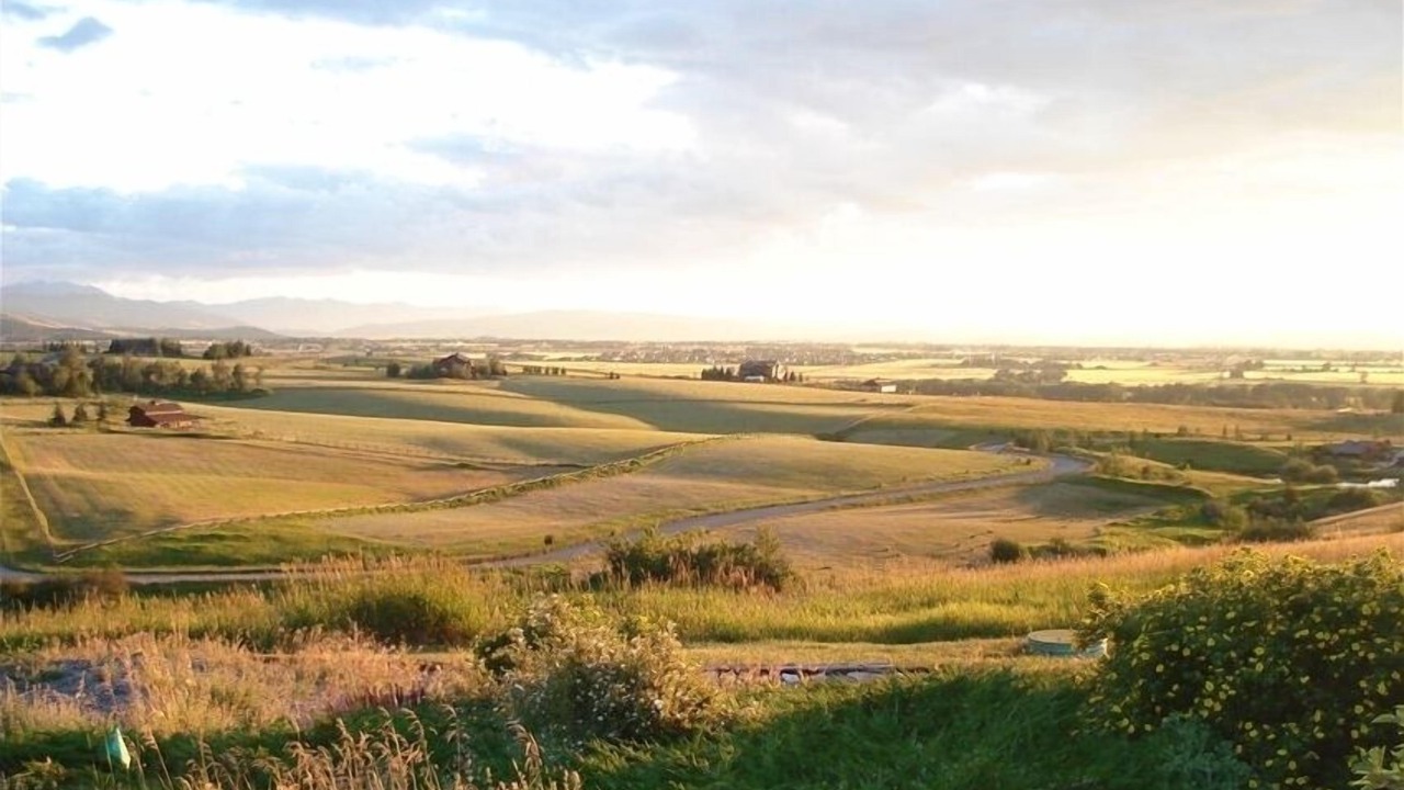 Photo of Others in Bozeman