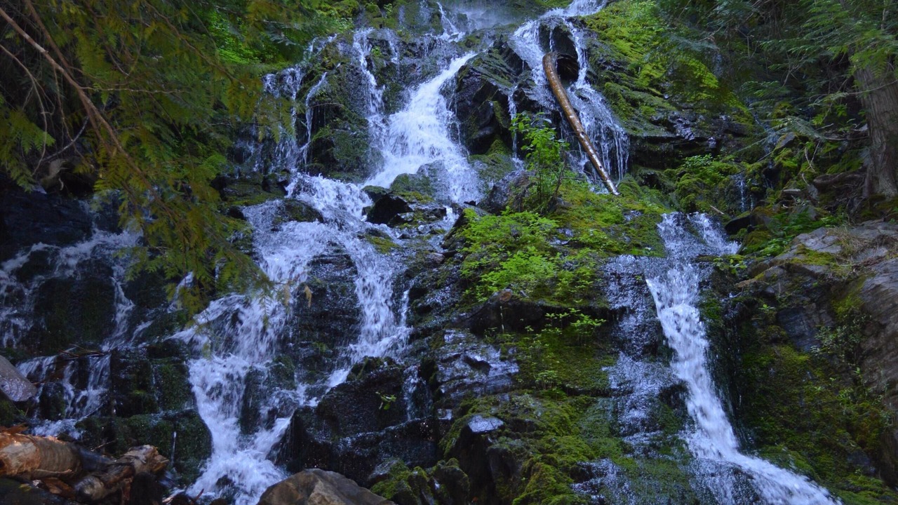 Photo of Outdoor in Troy