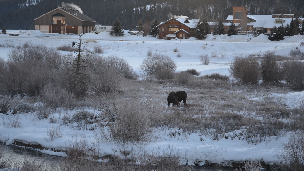 Photo of Bedroom in Big Sky Meadow Village