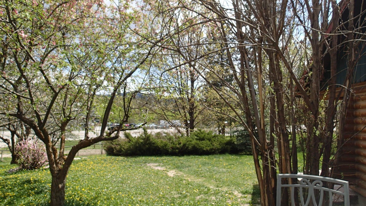 Photo of Others in Missoula