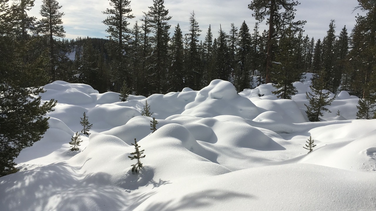 Photo of Others in Sunriver