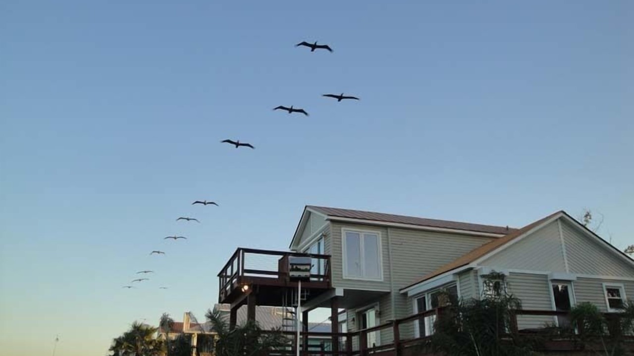 Photo of Others in Clear Lake Shores