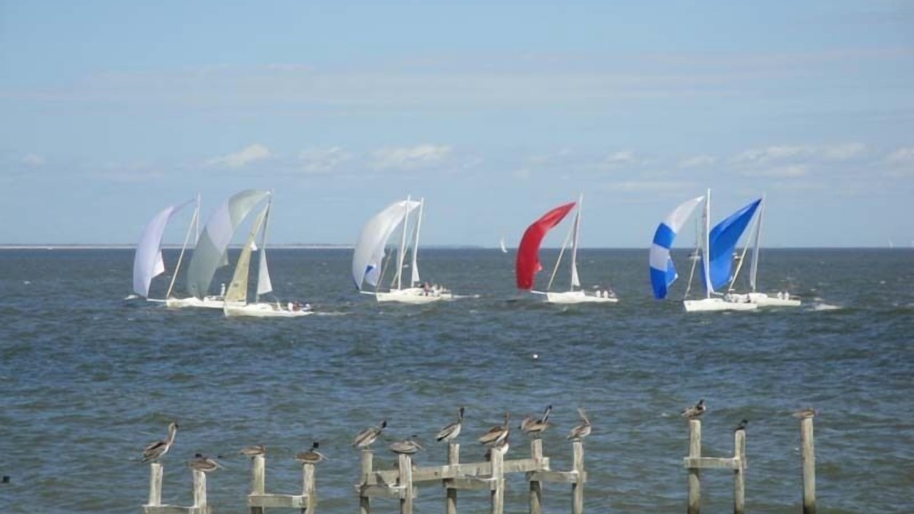 Photo of Others in Clear Lake Shores