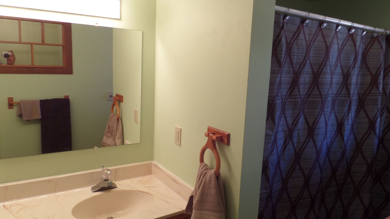 Photo of Bathroom in Wapiti