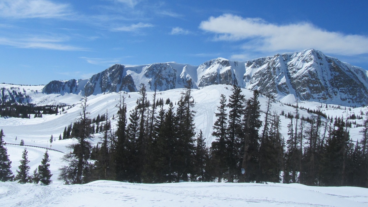 Photo of Others in Centennial