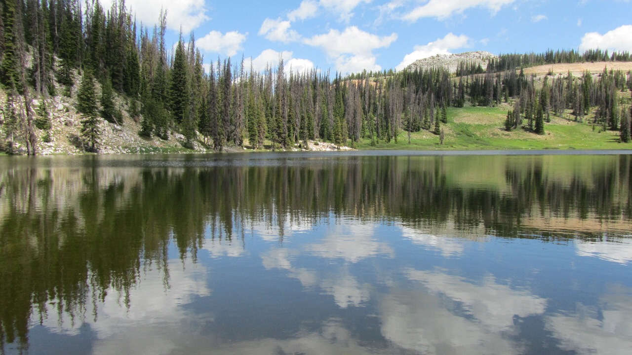 Photo of Outdoor in Centennial