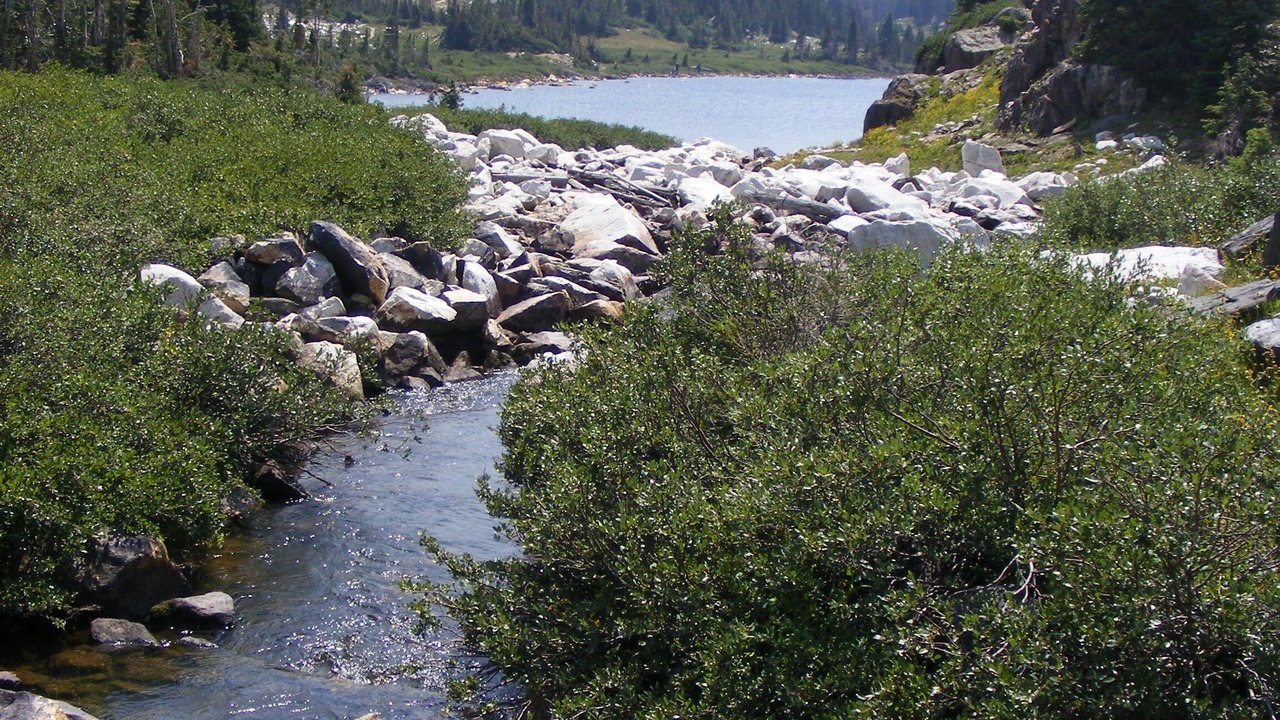 Photo of Outdoor in Centennial