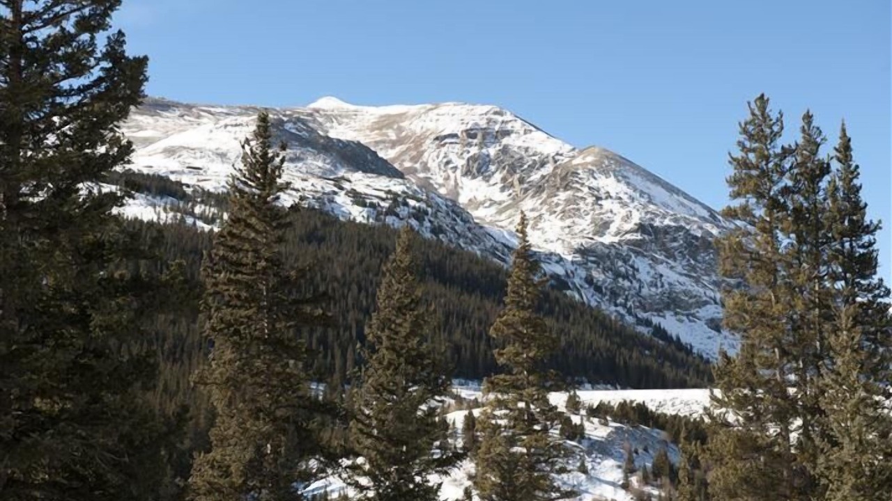 Photo of Others in Alma