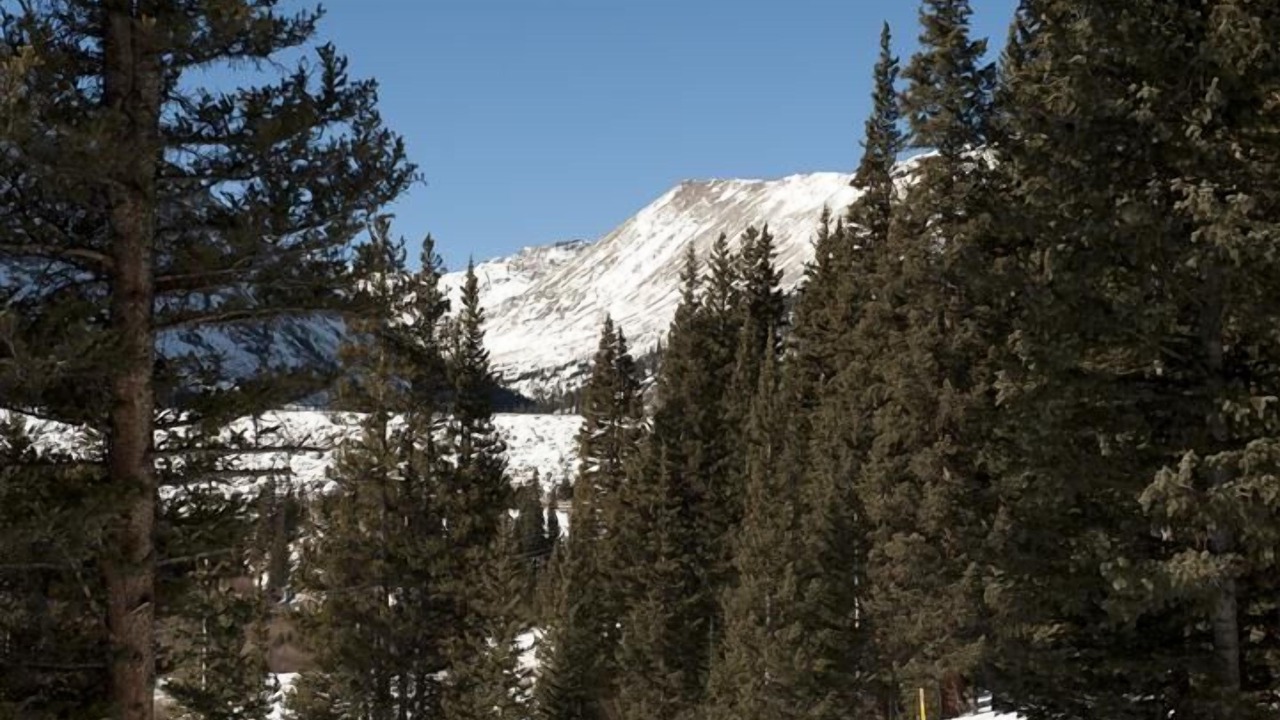 Photo of Others in Alma