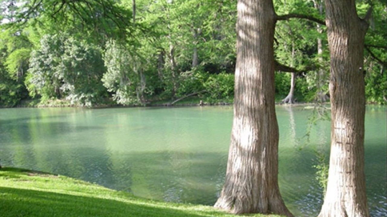 Photo of Others in Gruene