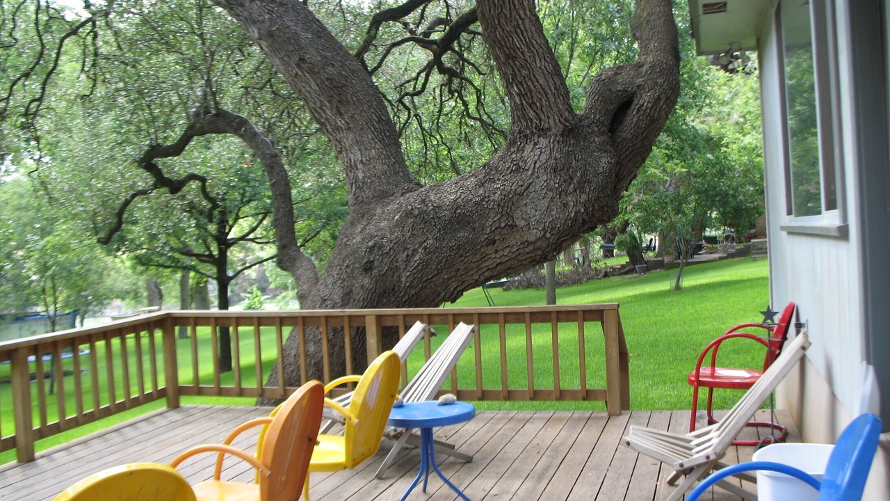 Photo of Others in Gruene