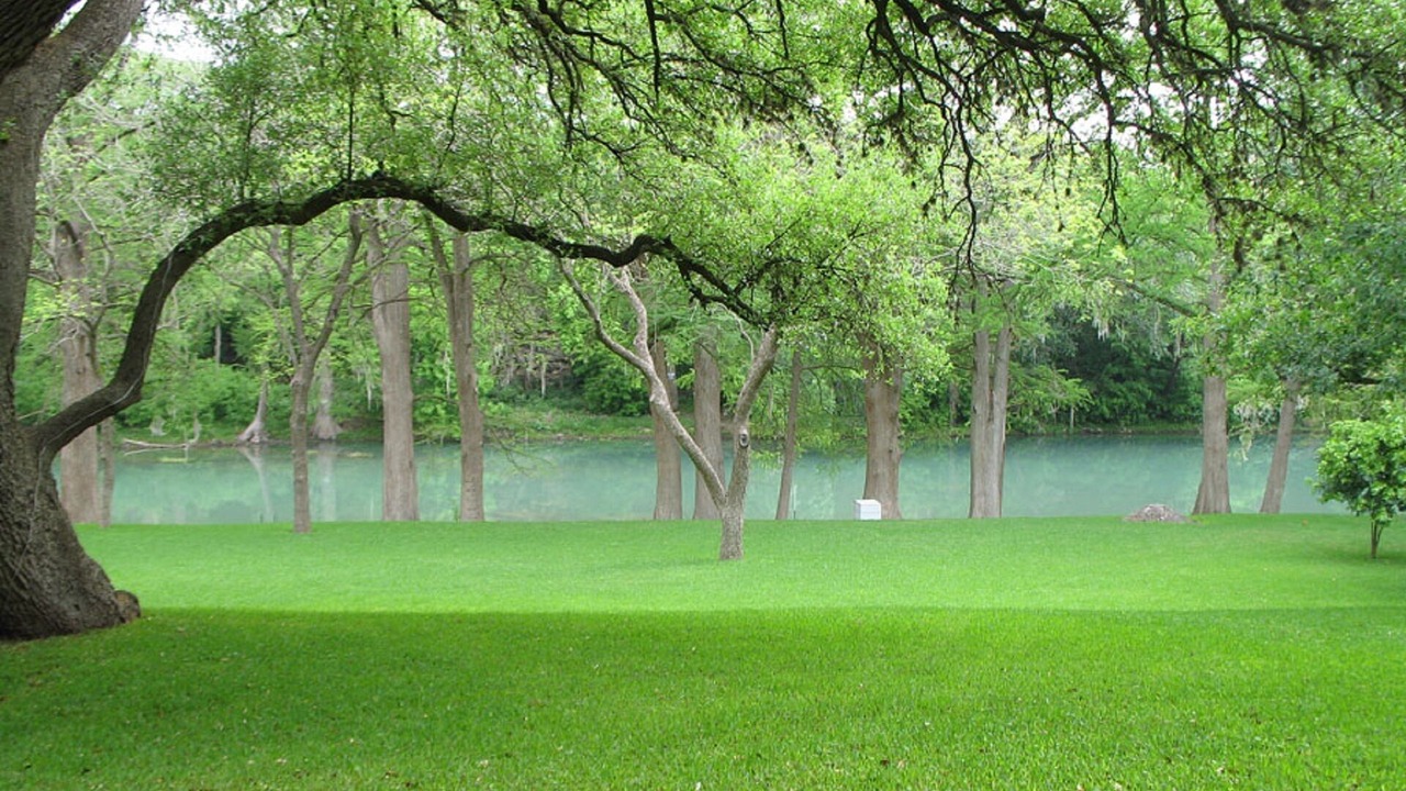 Photo of Outdoor in Gruene