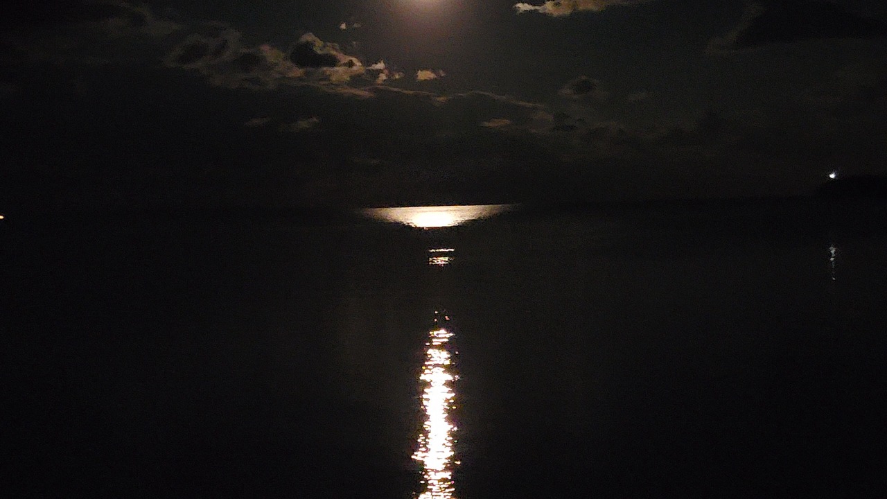 Photo of Others in Put-in-Bay