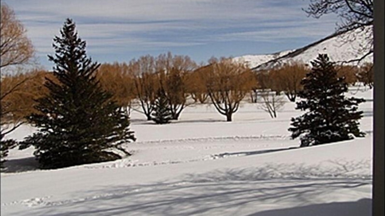 Photo of Others in North Park City