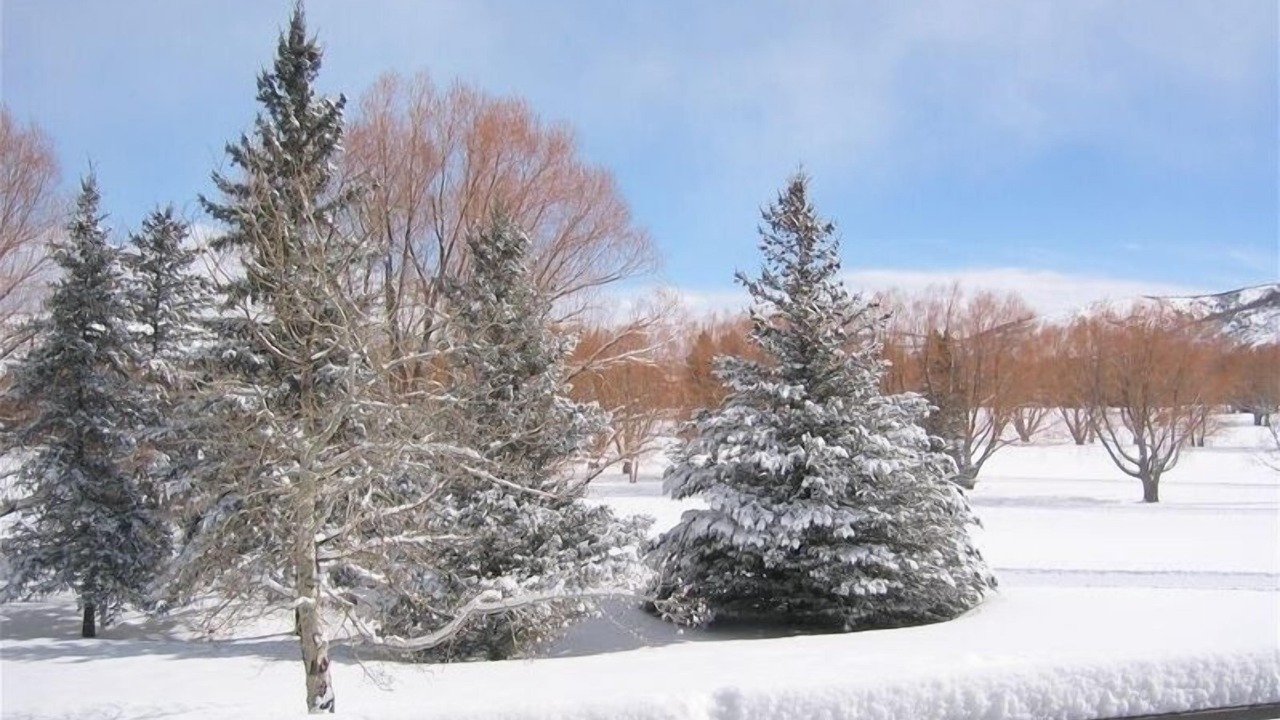 Photo of Others in North Park City