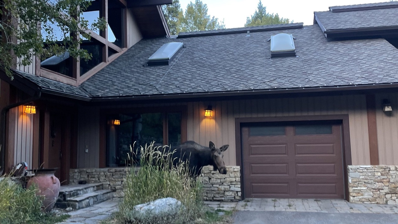 Photo of Others in Teton Village