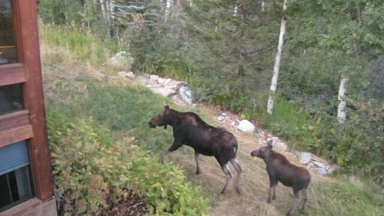 Photo of Others in Teton Village
