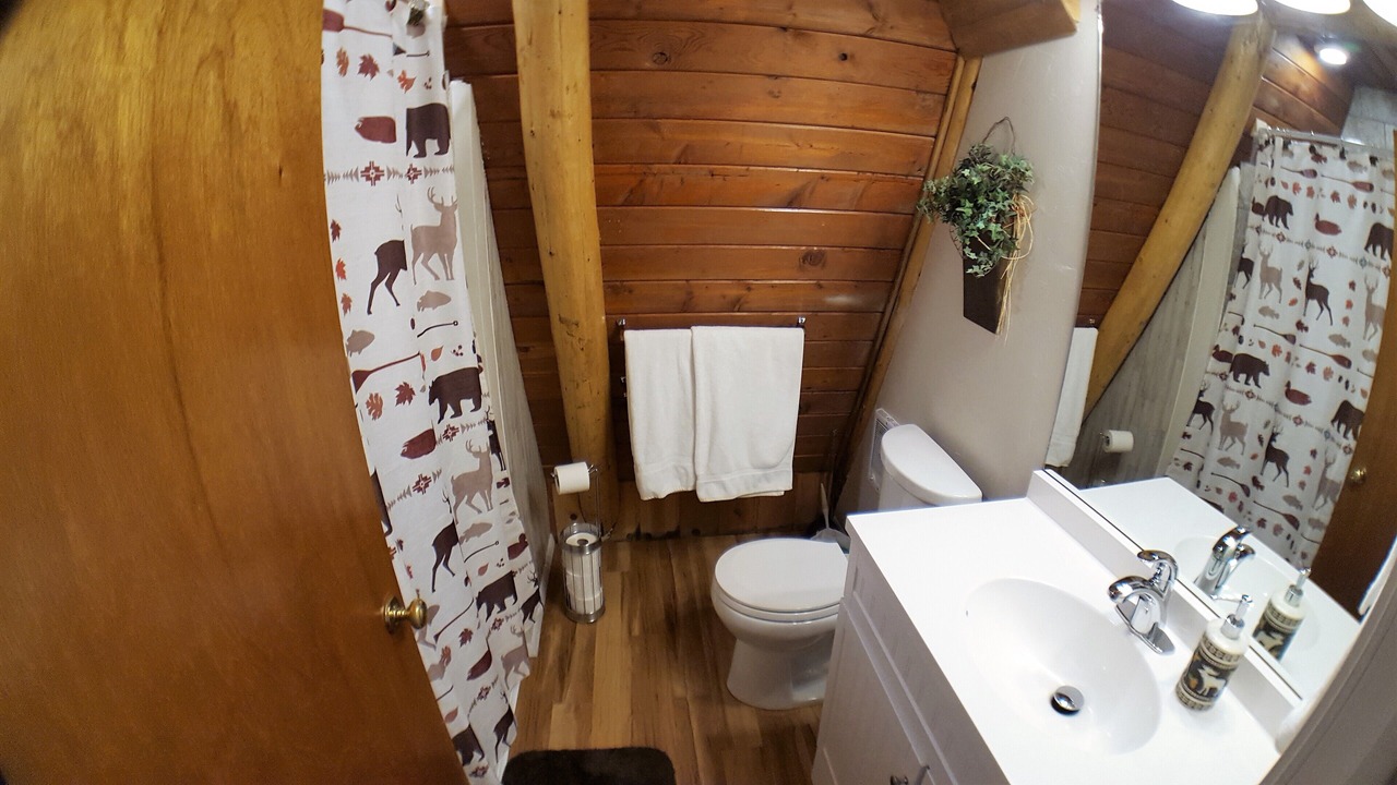 Photo of Bathroom in Island Park
