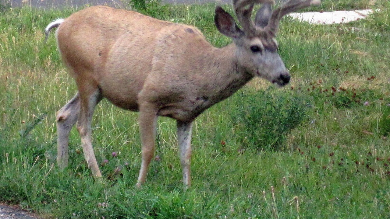 Photo of Others in Sheridan