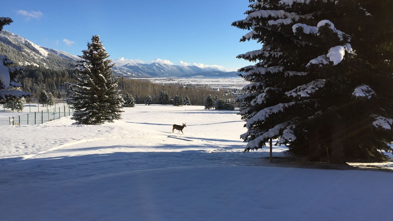 Photo of Others in Star Valley Ranch