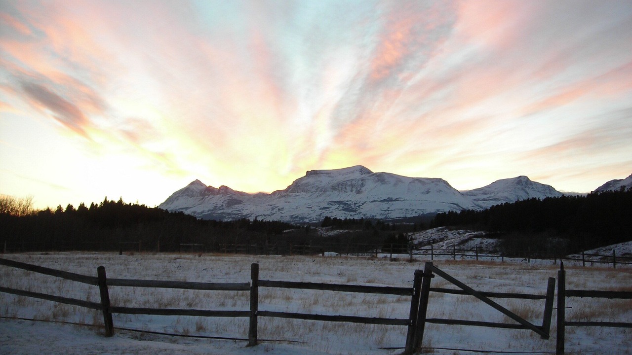 Photo of Others in East Glacier Park