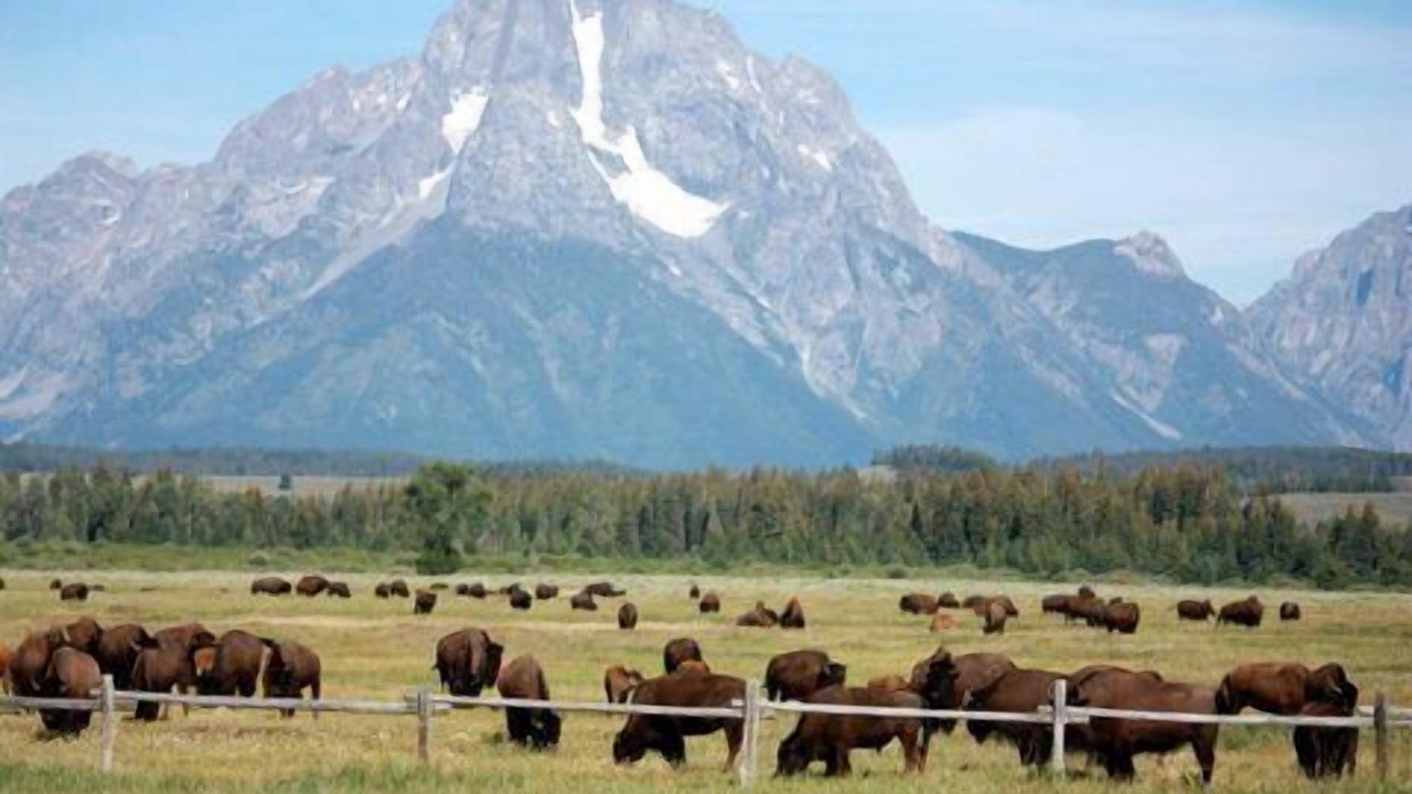 Photo of Others in Moran
