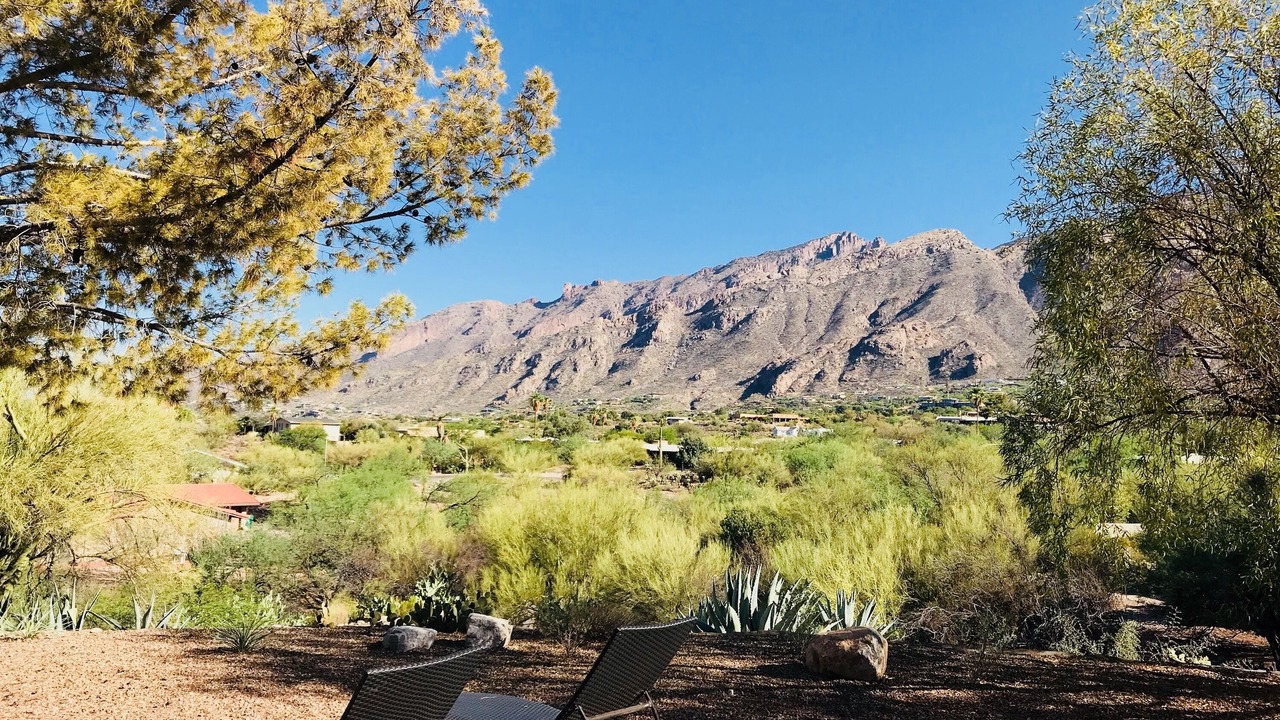 Photo of Outdoor in Skyline Bel Air Estates