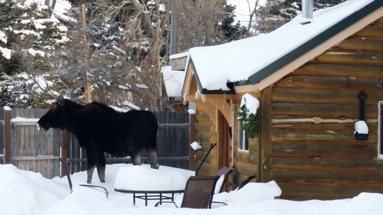 Photo of Others in Red Lodge