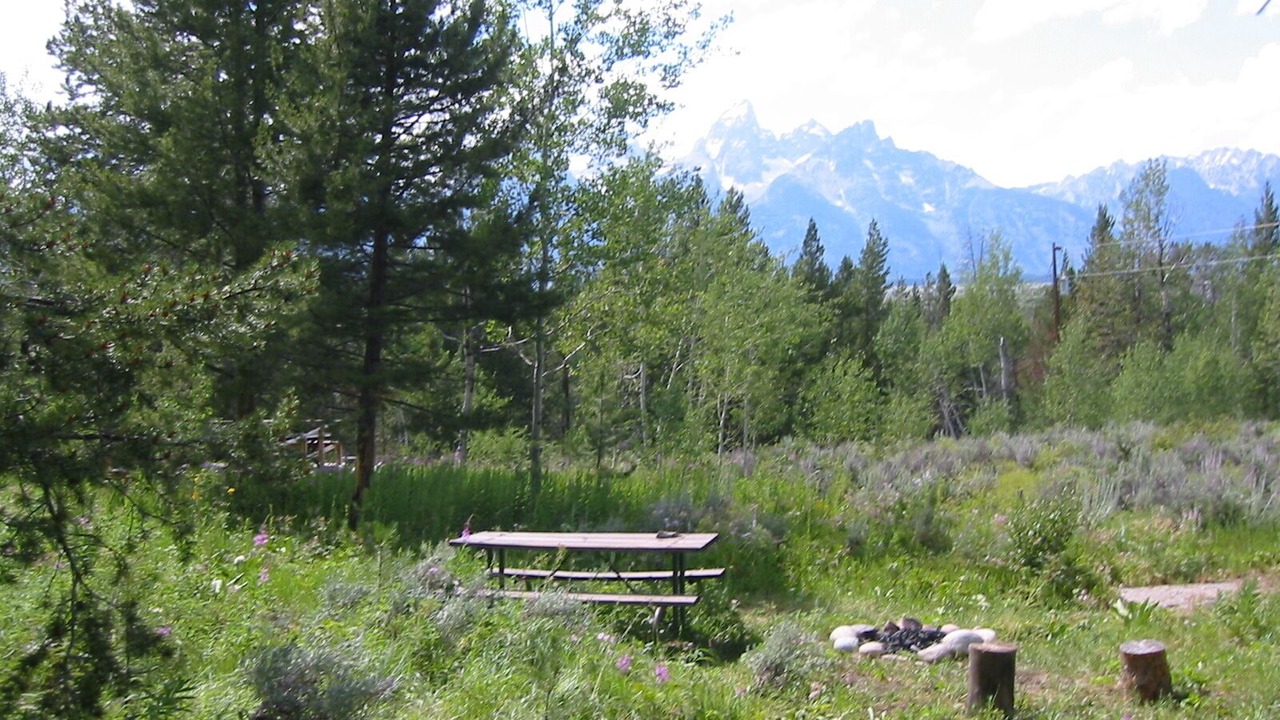 Photo of Others in Jackson Hole