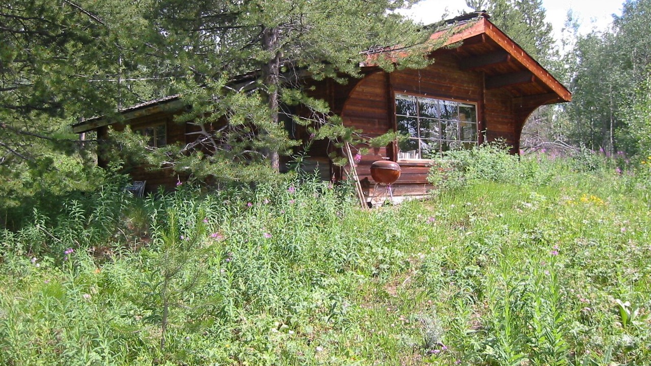 Photo of Others in Jackson Hole
