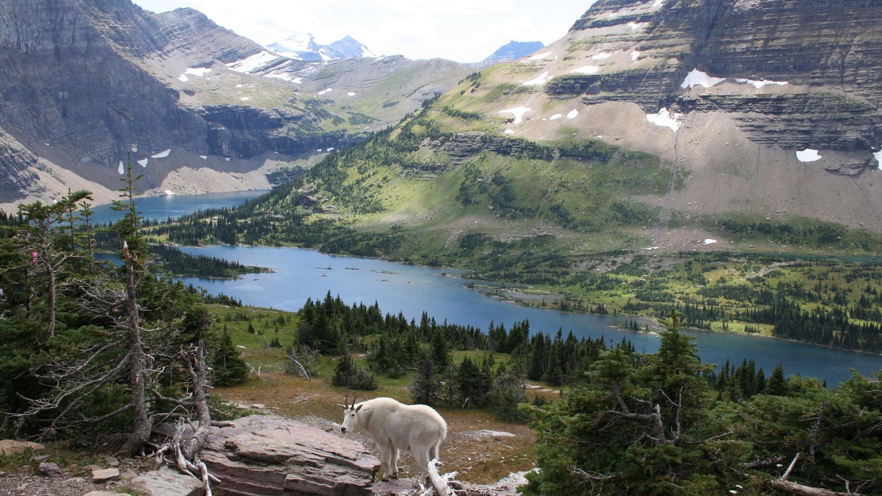 Photo of Outdoor in West Glacier
