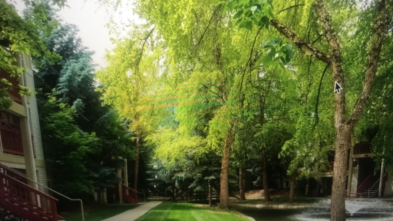 Photo of Outdoor in Franklin - Randolph