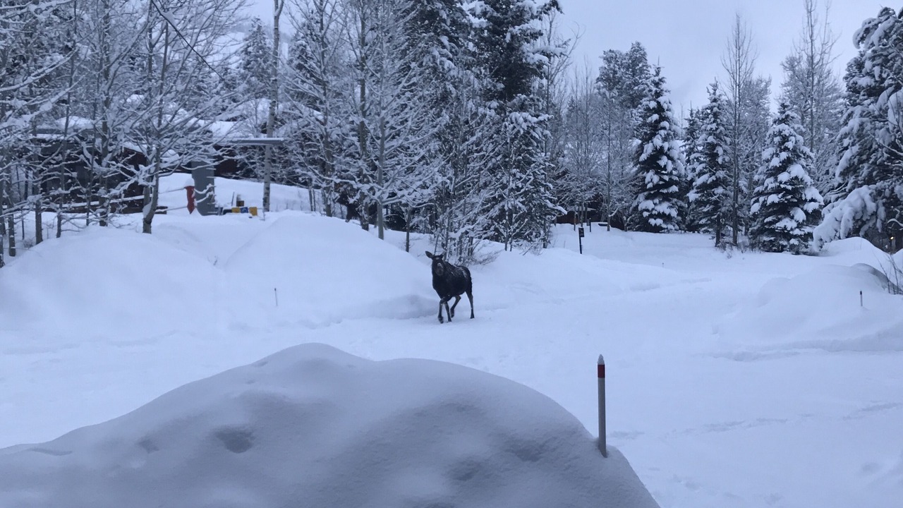 Photo of Others in Teton Village