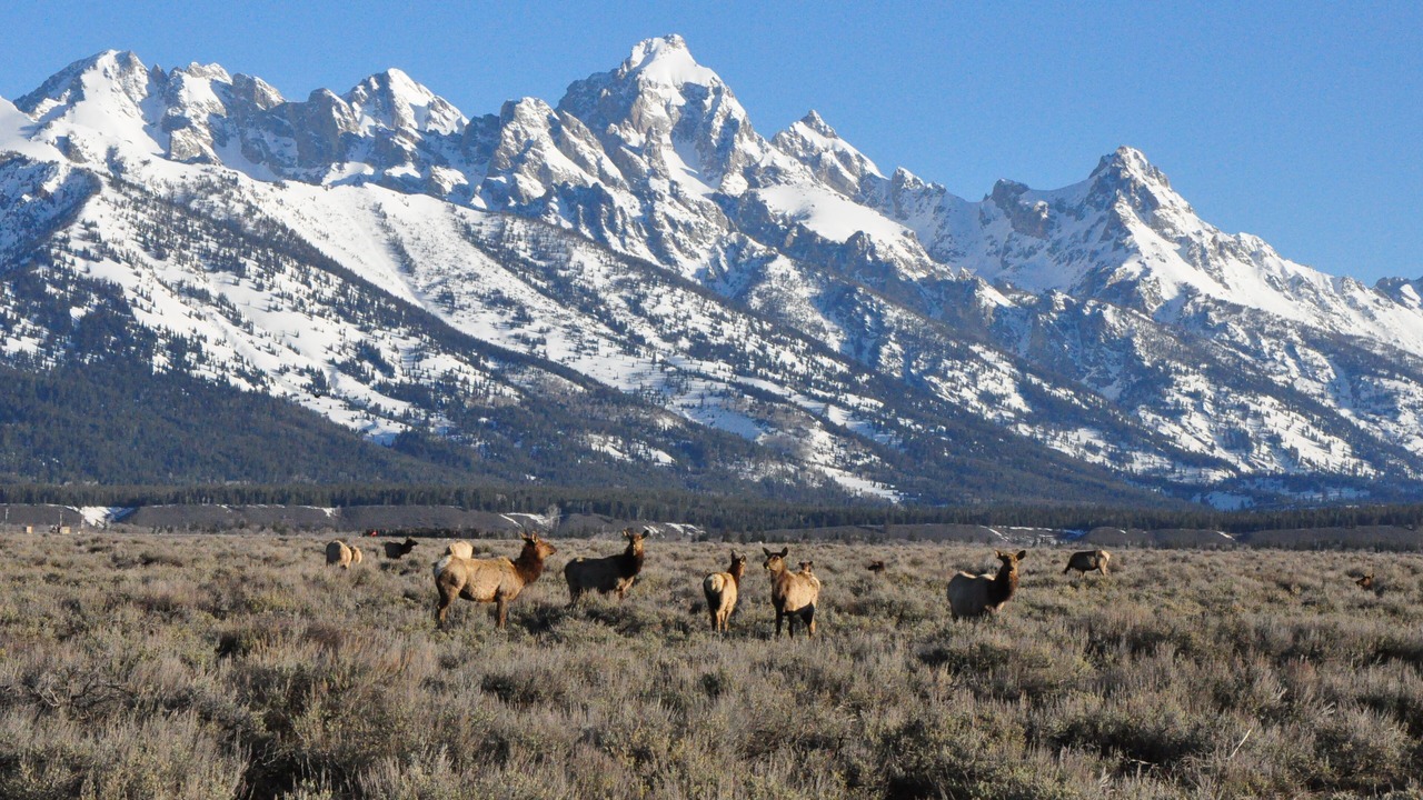 Photo of Others in Teton Village