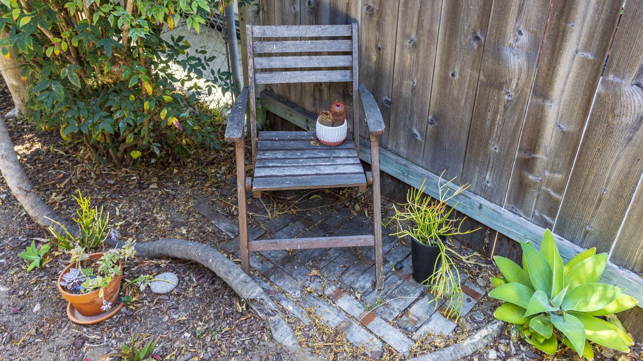 Photo of Outdoor in Ocean Beach