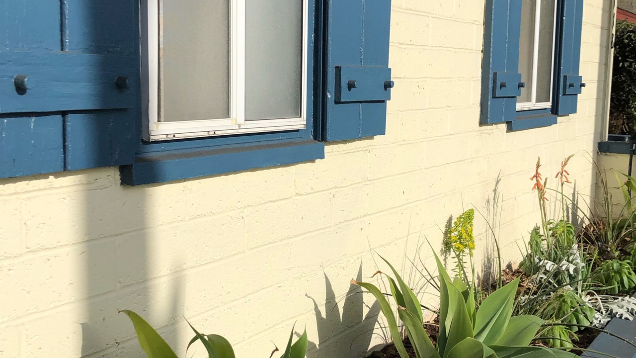 Photo of Others in Ocean Beach