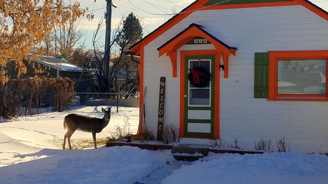 Photo of Others in Red Lodge