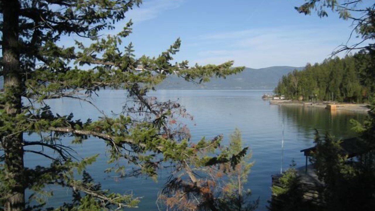 Photo of Outdoor in Angel Point